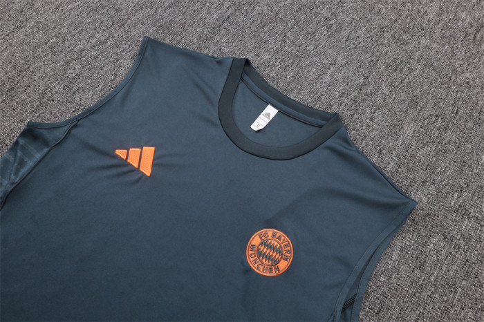 Bayern Munich Training Jersey 25/26