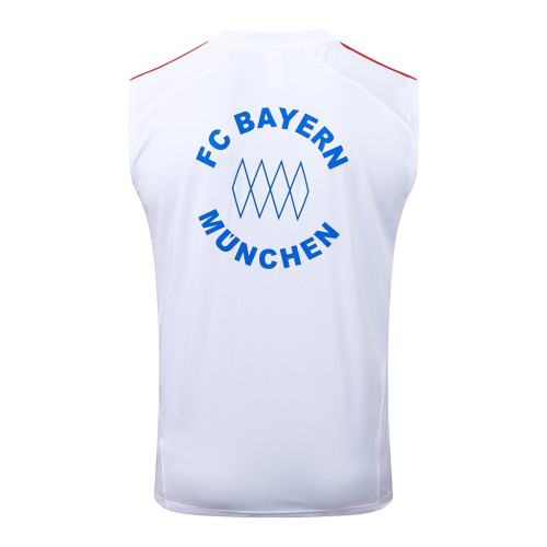 Bayern Munich Training Jersey 25/26