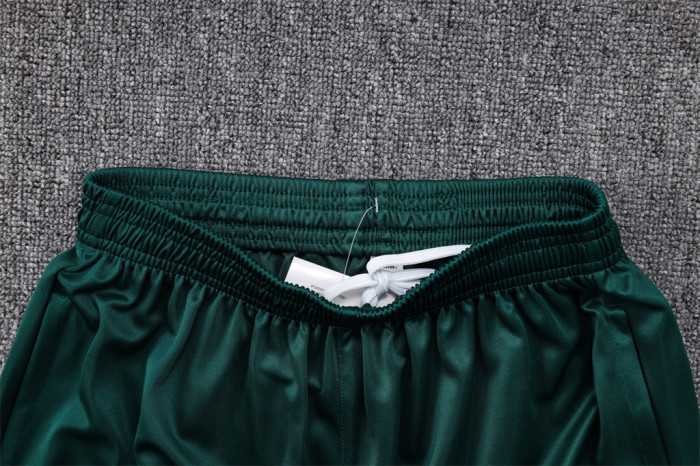 Palmeiras POLO Jersey 23/24