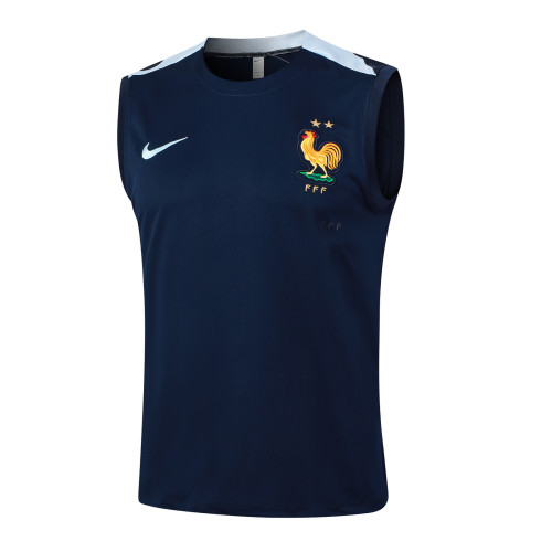 France Training Jersey 23/24