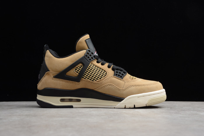 Air Jordan 4 Retro Rare Mushroom Fossil AQ9129-200