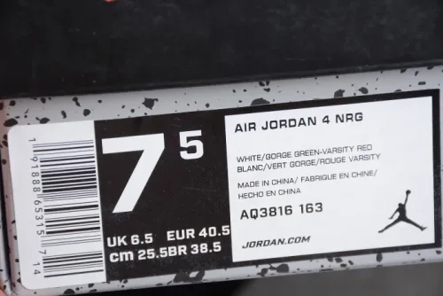 Air Jordan 4 Retro NRG “Do The Right Thing” AQ3816-163