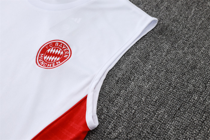 Bayern Munich Training Jersey 25/26