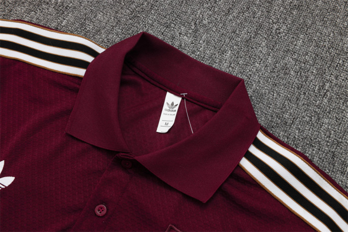 Ajax POLO Jersey 25/26