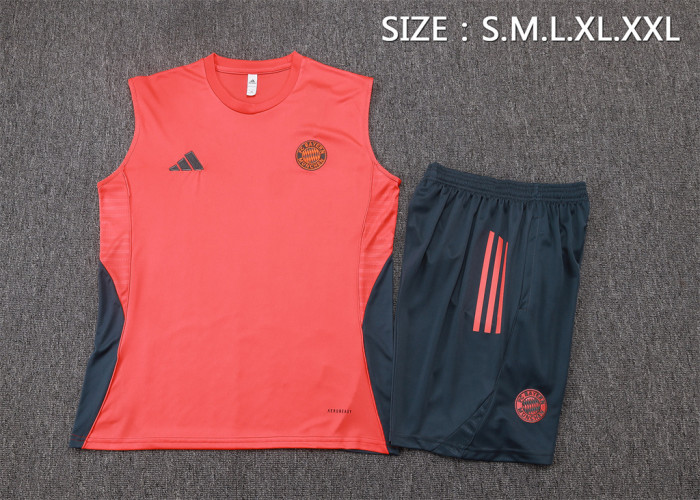 Bayern Munich Training Jersey 25/26