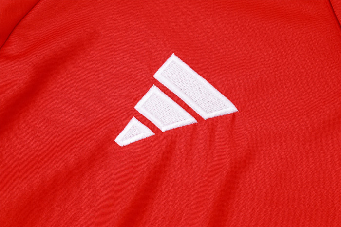 Bayern Munich POLO Jersey 24/25