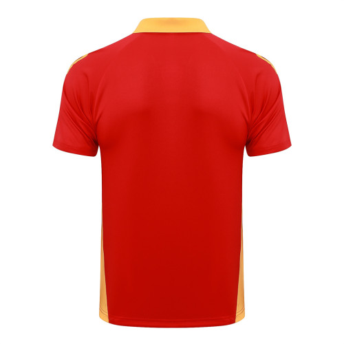 Bayern Munich POLO Jersey 24/25