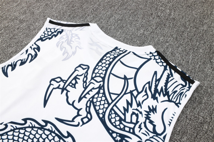 Real Madrid Training Jersey 23/24