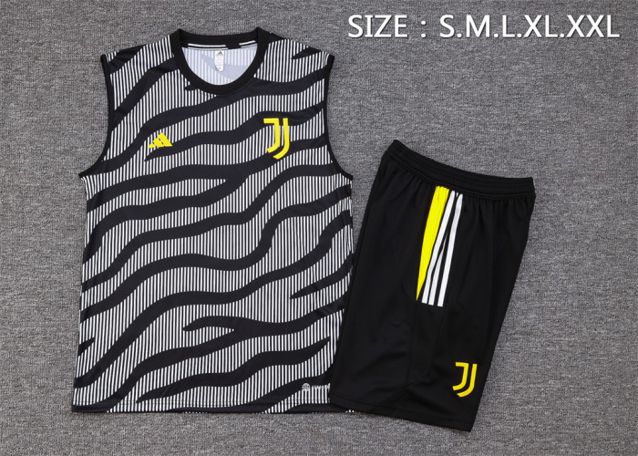 Juventus Training Jersey 23/24