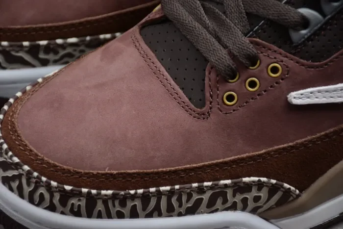 Air Jordan 3 Antique Brass 626988-018