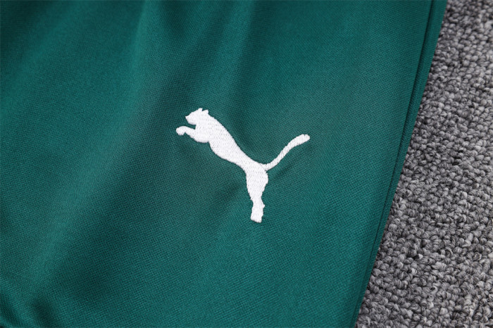 Palmeiras POLO Jersey 23/24