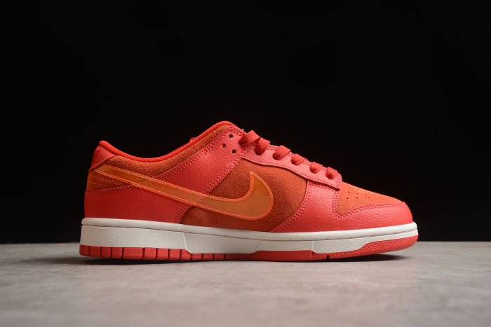 SB Dunk Low ATL FD0724-657