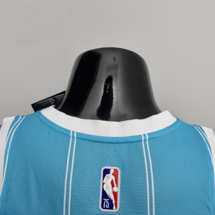 Gordon Hayward Charlotte Hornets 75th Anniversary Swingman Jersey Blue