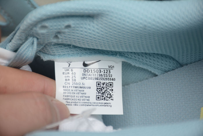 SB Dunk Low Ice Blue DD1503-123