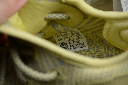 Yeezy 350 V2“Antlia ” FV3250