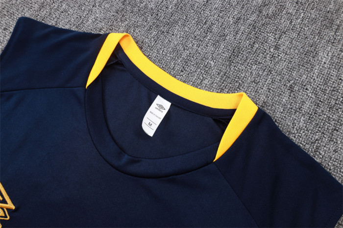 Santos Training Jersey 24/25