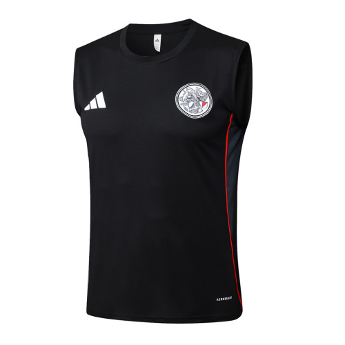 Ajax Training Jersey 25/26