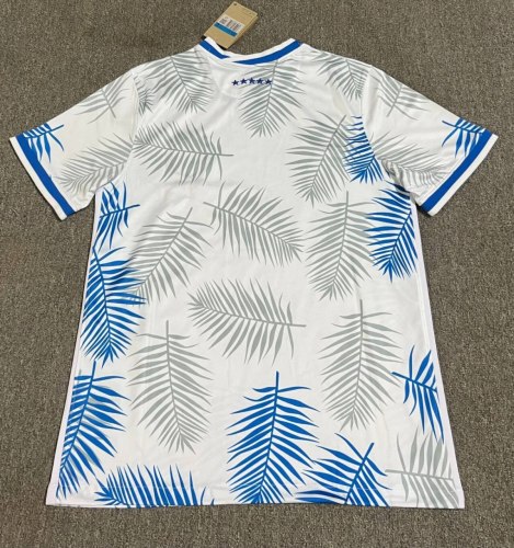 Brazil Special Edition Training Man Jersey 2025