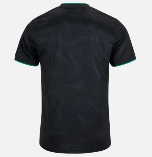 Ireland 2025 Special Man Jersey