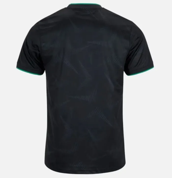 Ireland 2025 Special Man Jersey
