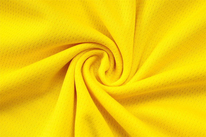 Borussia Dortmund Training Jersey 25/26