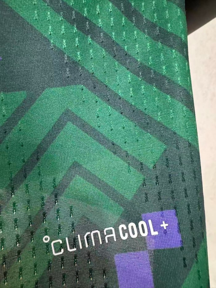 Saudi Arabia 2026 World Cup Home Player Men Jersey