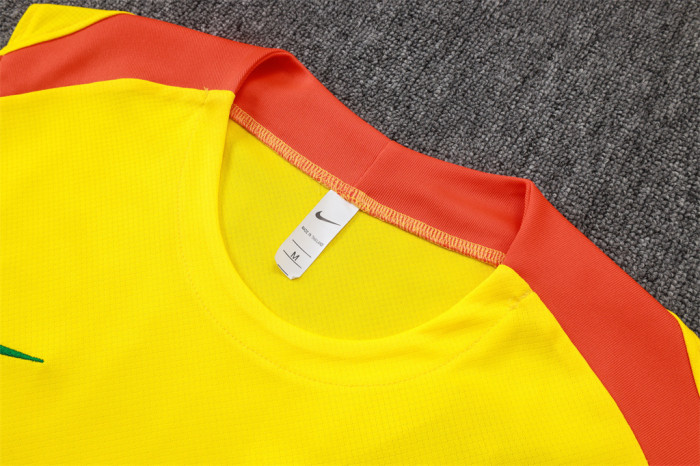 Brazil Training Jersey 25/26