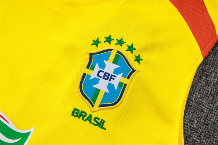 Brazil Training Jersey 25/26