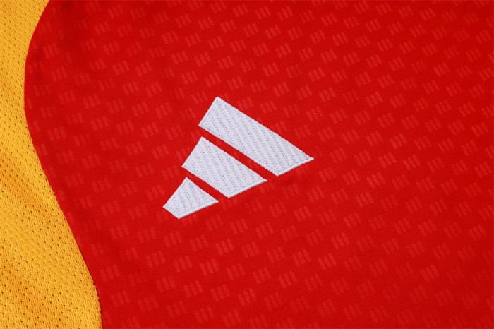 Germany Training Jersey 26/27