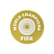 Club World Cup Champions