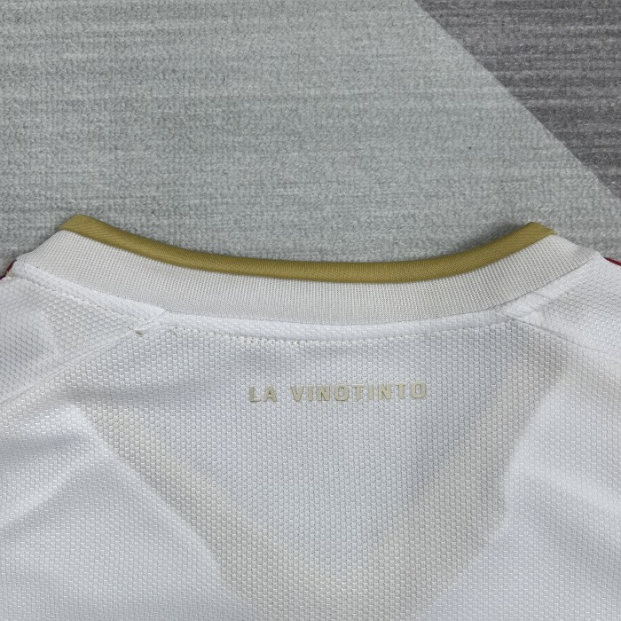 Venezuela 2026 World Cup Away Men Jersey