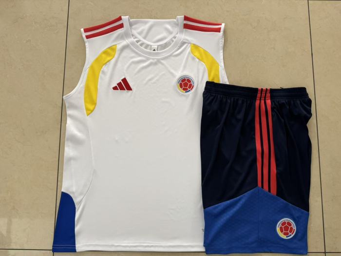 Colombia Training Jersey 26/27