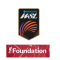 WSL + Ad（Foundation）