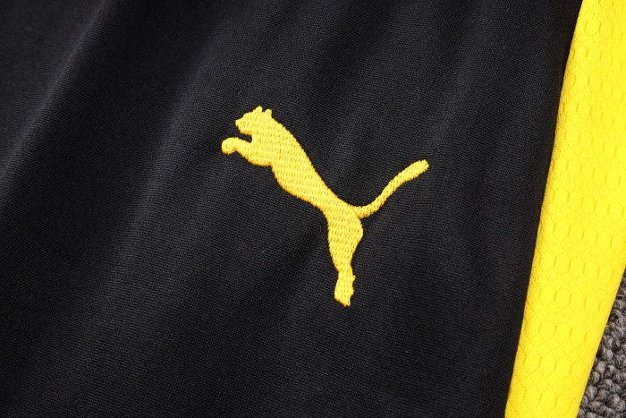 Borussia Dortmund Training Jersey Suit 26/27