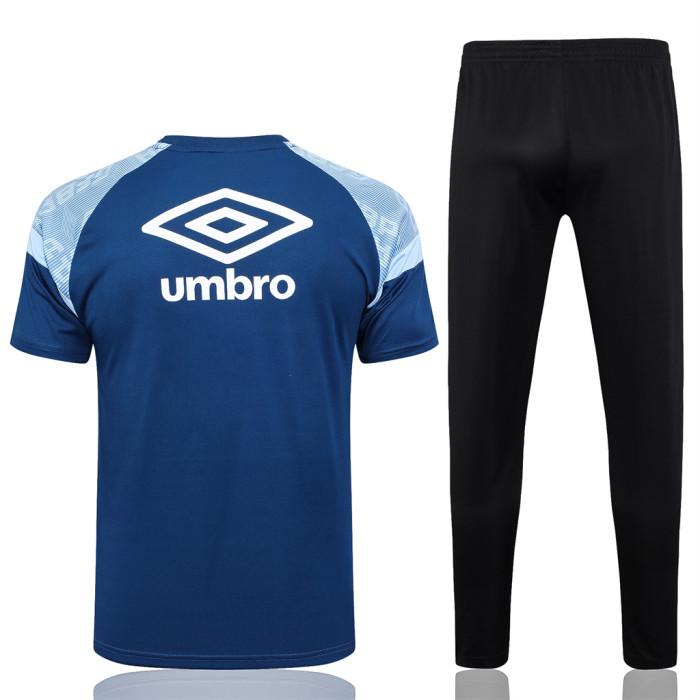 Gremio Training Jersey 23/24