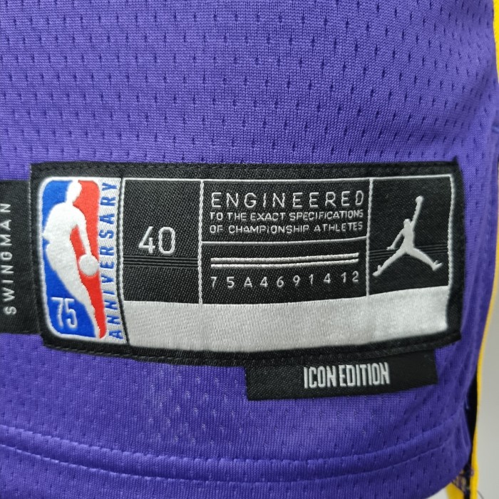 Dwight Howard Los Angeles Lakers 75th Anniversary Swingman Jersey Purple