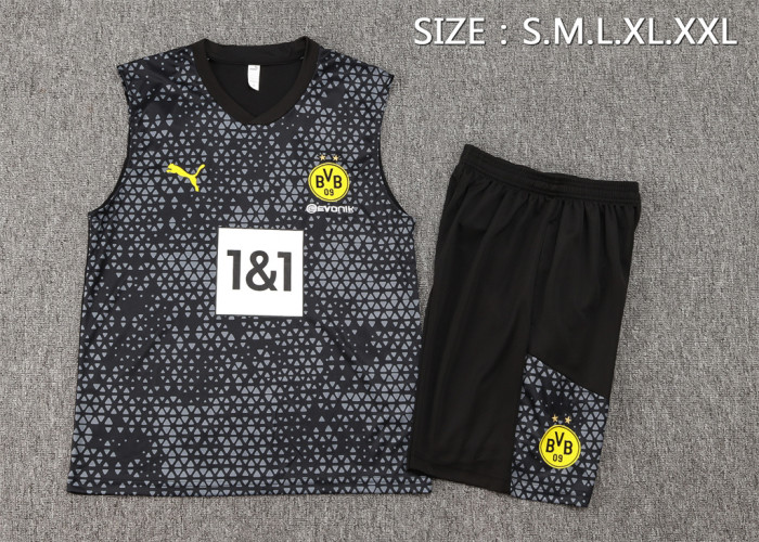 Borussia Dortmund Training Jersey 23/24