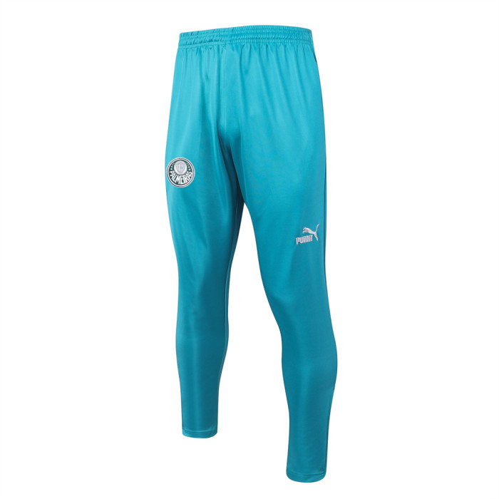 Palmeiras POLO Jersey 23/24