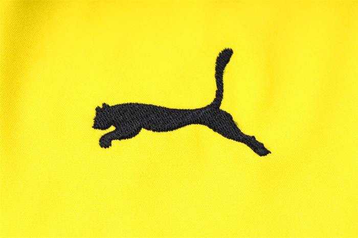 Borussia Dortmund POLO Jersey 23/24