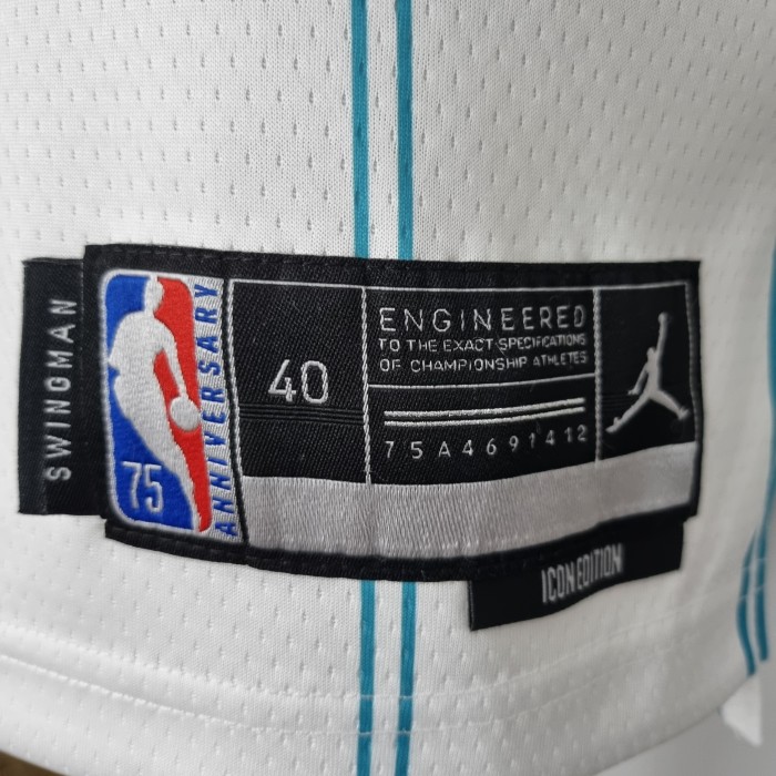 Gordon Hayward Charlotte Hornets 75th Anniversary Swingman Jersey White