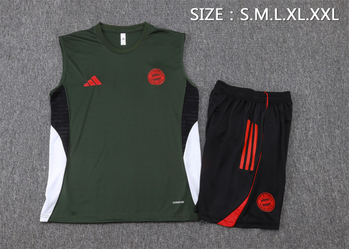 Bayern Munich Training Jersey 25/26
