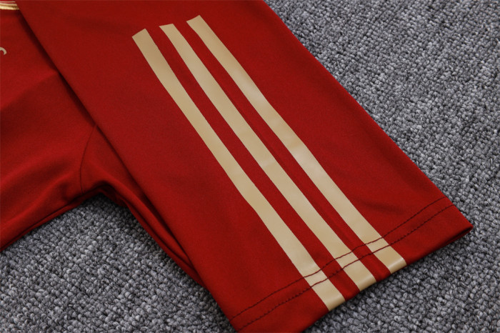 Arsenal POLO Jersey 23/24