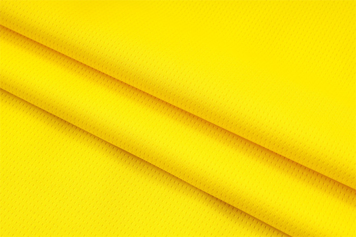 Borussia Dortmund Training Short sleeve Suit 25/26