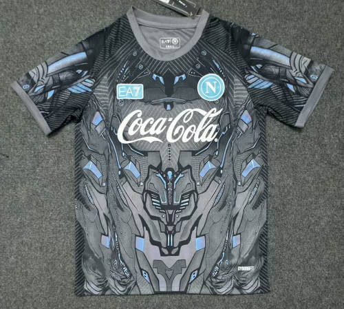 Napoli Gray Training  Man Jersey 25/26