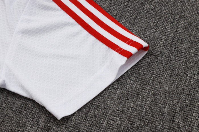 Bayern Munich POLO Jersey 25/26