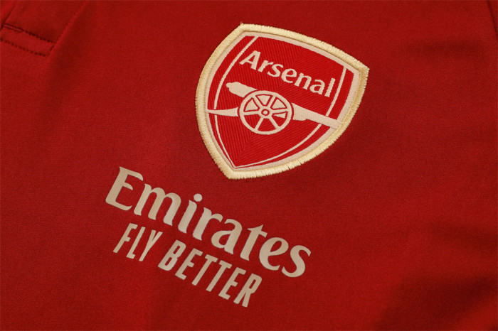 Arsenal POLO Jersey 23/24