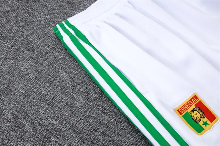 Senegal Training Jacket 26/27
