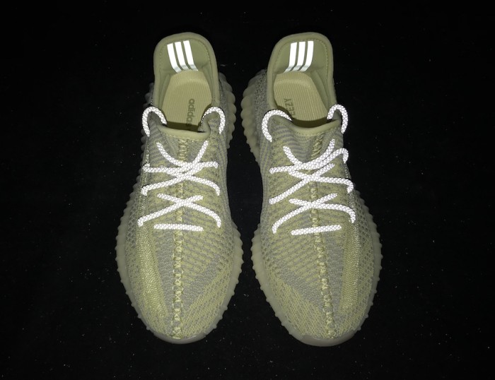 Yeezy 350 V2“Antlia ” FV3250