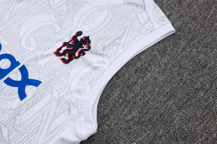 Chelsea Training Jersey 24/25