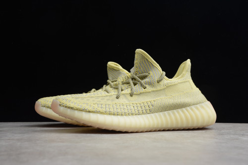 Yeezy 350 V2“Antlia ” FV3250